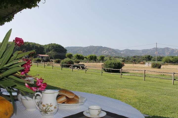 サンタ・クリスティーナ・ダロ Residential Horse Club Costa Bravaホステル 部屋 写真